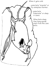 Teach children about hibernation with these wonderfully illustrated colouring pages. Bat Facts Coloring Book Page