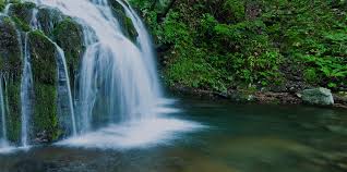 Image result for spring of water