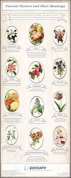 Meaning Of Flowers For A Funeral Funeral Flowers Flower Meanings Funeral