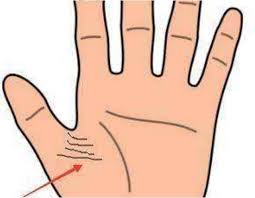 Maybe you would like to learn more about one of these? It Turns Out That The Fine Lines Of Palmistry Are So Simple Daydaynews