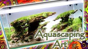2019 aga aquascaping contest aquariums. Aquascaping Art Most Beautiful Tanks Ever Aga Aquascape Contest Chicago Aquatic Experience Youtube