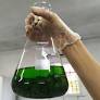 Paraíba and Alagoas Amplify Investments in Scientific Research and Innovation in 2026