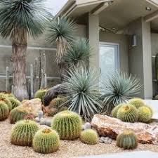 Wear tough garden gloves, grasp it by its roots, and cushion the plant with a folded newspaper. 16 Barrel Cactus Ideas Desert Landscaping Desert Garden Xeriscape