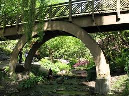 Federal Way Rhododendrum Park Rhododendron Park Federal Way Washington Evergreen State