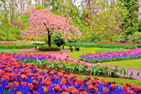 Find spring pictures and spring photos on desktop nexus. Image Detail For Spring Season Photograph By Nadia Sanowar Spring Season Fine Art Spring Pictures Spring Wallpaper Spring Nature