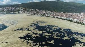 A thick, slimy layer of 'sea snot' is spreading in turkey's sea of marmara to the south of istanbul at alarming levels. Turkey Sea Snot Reached Northern Greece Scientist Reveals