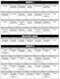 Insanity Workout Schedule Free Download