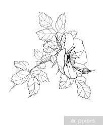 Disegni a matita da colorare. Carta Da Parati Rosa Matita Fiore Disegno Pixers Viviamo Per Il Cambiamento