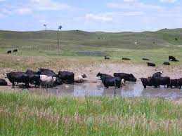 Nebraska Lander Sehenswurdigkeiten Goruma Der bundesstaat nebraska gehört zu den mittleren westen der usa.