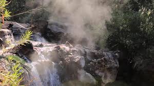 Descargue esta imagen gratuita sobre naturaleza bosque primavera de la vasta biblioteca de imágenes y videos de dominio público de pixabay. Rio Caliente Bosque De La Primavera Youtube