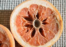 Seeds growing inside the grapefruit. What I Learned From A Grapefruit Stylin Granny Mama