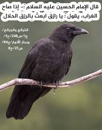 Pin By Karrar Takach On احاديث ا هل الب يت ص Proverbs Quotes Proverbs Quotes