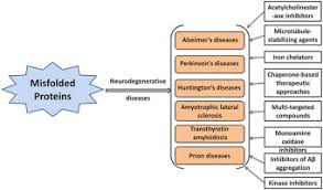 Neurodegenerative Diseases Linked To Misfolded Proteins And Their Therapeutic Approaches A Review Sciencedirect