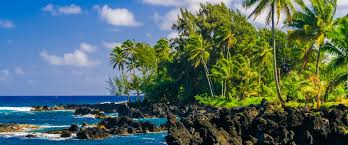 Ocean temperatures are between 77 f and 79 f in october and november. Understand Hawaii S Weather Patterns As You Choose