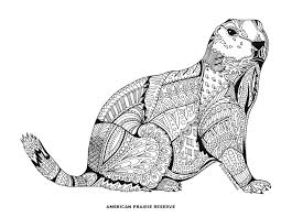 However, modern science has given us a window into how dogs experience the world, and it. Pin On Coloring Pages
