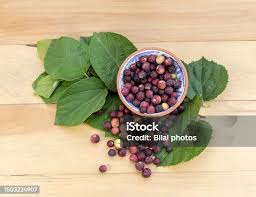 Image result for Grewia