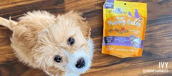 10 best dog food brands for small breeds. We Believe In Better Pet Nutrition Wellness Pet Food
