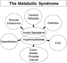 Abdominal Obesity Role In The Pathophysiology Of Metabolic Disease And Cardiovascular Risk The American Journal Of Medicine