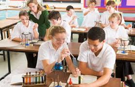 The Lowdown On Stem Schools Greatkids Stem School Education Education Kindergarten