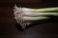 #1 having the sprouted onions ready Can You Plant Onions That Have Sprouted 4 Steps To Take Greenupside