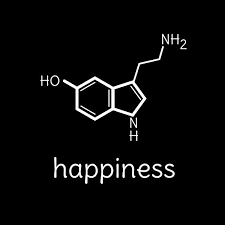 Funny Happiness Serotonin Molecule Chemistry T Shirt Great For Science Chemistry Physics Biology And S Chemistry Tattoo Science Tattoos Serotonin Molecule