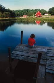 About glass fences available to the garden in the southern louisiana living water aeration pond fountains and aerator systems to. Build A Pond Homesteading And Livestock Mother Earth News