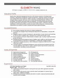 Vice President Resume Examples Best Of Professional Senior Vice President Client Operations In 2020 Resume Examples Business Analyst Resume Sales Resume Examples