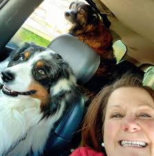 What is the difference between Jackson and Jackson Hole?