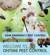 Pest control london providing a professional pest control service covering the whole of.pest control london offer customers an unrivalled pest control service for property owners in london. 24 Hour Emergency Pest Control Mortlake Sw14 Throughout South West London