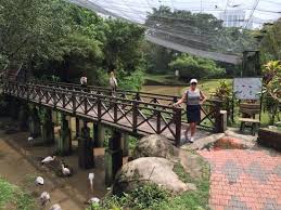 Fonghuanggu bird and ecology park, nantou, taiwan. Tripadvisor Kl Bird Park ØµÙØ±Ø© Ø­Ø¯ÙÙØ© Ø·ÙÙØ± ÙÙØ§ÙØ§ÙÙØ¨ÙØ±
