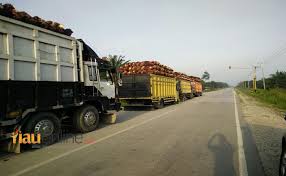 Dapat dilihat bahwa integral fungsi akselerasi a(t) adalah fungsi kecepatan v(t. Dinas Perhubungan Riau Minta Perusahaan Tidak Gunakan Truk Over Dimensi