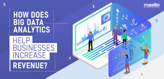How Does Big Data Analytics Help Businesses Increase Revenue?