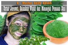 We did not find results for: Berita Pertanian Manfaat Buah Sayur Info Pertanian Berita Terbaru Mitalom