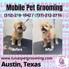 Discover pet grooming deals in and near austin, tx and save up to 70% off. Luna S Pet Grooming