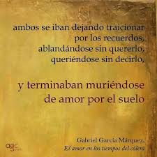 Pin De Emily Perez En Gabriel Garcia Marquez Gabriel Garcia Marquez Gabriel Garcia Citas De Libros