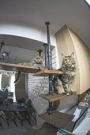 Pin On Koshka Diy Furniture