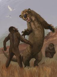 Image result for Astropanax