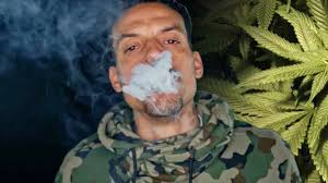 The psychoactive dried resinous flower buds and history and etymology for marijuana. La Nba Se Prepara Para Legalizar La Marihuana Por Que Las Estrellas Fuman Y No Seran Castigadas