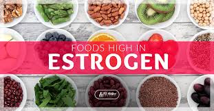 These include cruciferous in addition to taking vitamonk's estrotrax and eating (and avoiding) some of the foods mentioned above, other ways to help lower estrogen levels include reducing weight. 17 Healthy Foods High In Estrogen The Fit Mother Project