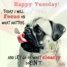 Tuesday's child is full of grace. Happy Tuesday Funny Good Morning Memes Tuesday Quotes Happy Tuesday Quotes