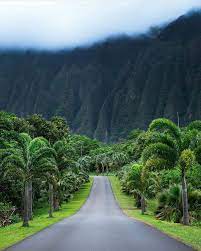 Hawaii Travel Vacation On Instagram Ho Omaluhia Botanical Garden Oahu Hawaii Photo By King Roberto Hawaii Travel Travel Photos Vacation Trips