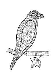 Kids can print out and color pictures of robin, parrot, eagle, falcon and other birds. Better Budgeting Free Coloring Pages Bird On Tree Branch