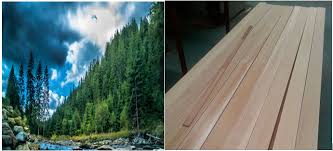 Maybe you would like to learn more about one of these? Top Facts About Hem Fir Know If This Is What You Need