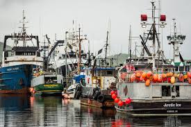 Jul 12, 2021 · fishery advisory announcements. Dutch Harbor Stays On Top Among U S Fishing Ports Anchorage Daily News