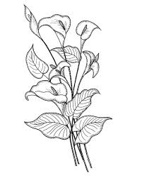 Check spelling or type a new query. 15 Best Lukisan Bunga Ideas Corak Sulaman Bunga Hiasan Lukisan Cat Air