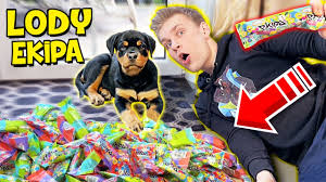 Wiesz dlaczego na lody ekipy jest taki popyt? Testujemy Lody Ekipy Friza Z Psem Abra 200 Sztuk Gdzie Je Kupic Youtube