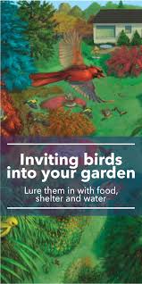 Here, purple coneflower, sedum, and iris provide for your winged friends. Attract Birds To Your Garden How To Attract Birds Plants For Pollinators Birds