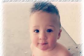 Fundraiser for David Ausano by Hailey Perez : Tommys recovery