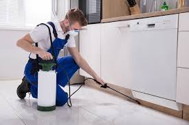 Fumigation is also called as gassing in some cases. Fumigation In Karachi Pest Control In Karachi Bed Bugs Termite Cockroach