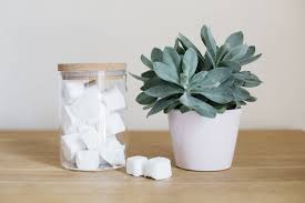 Tablettes Pour Le Lave Vaisselle Fait Maison Eco Et Naturel Lave Vaiselle Lave Vaisselle
